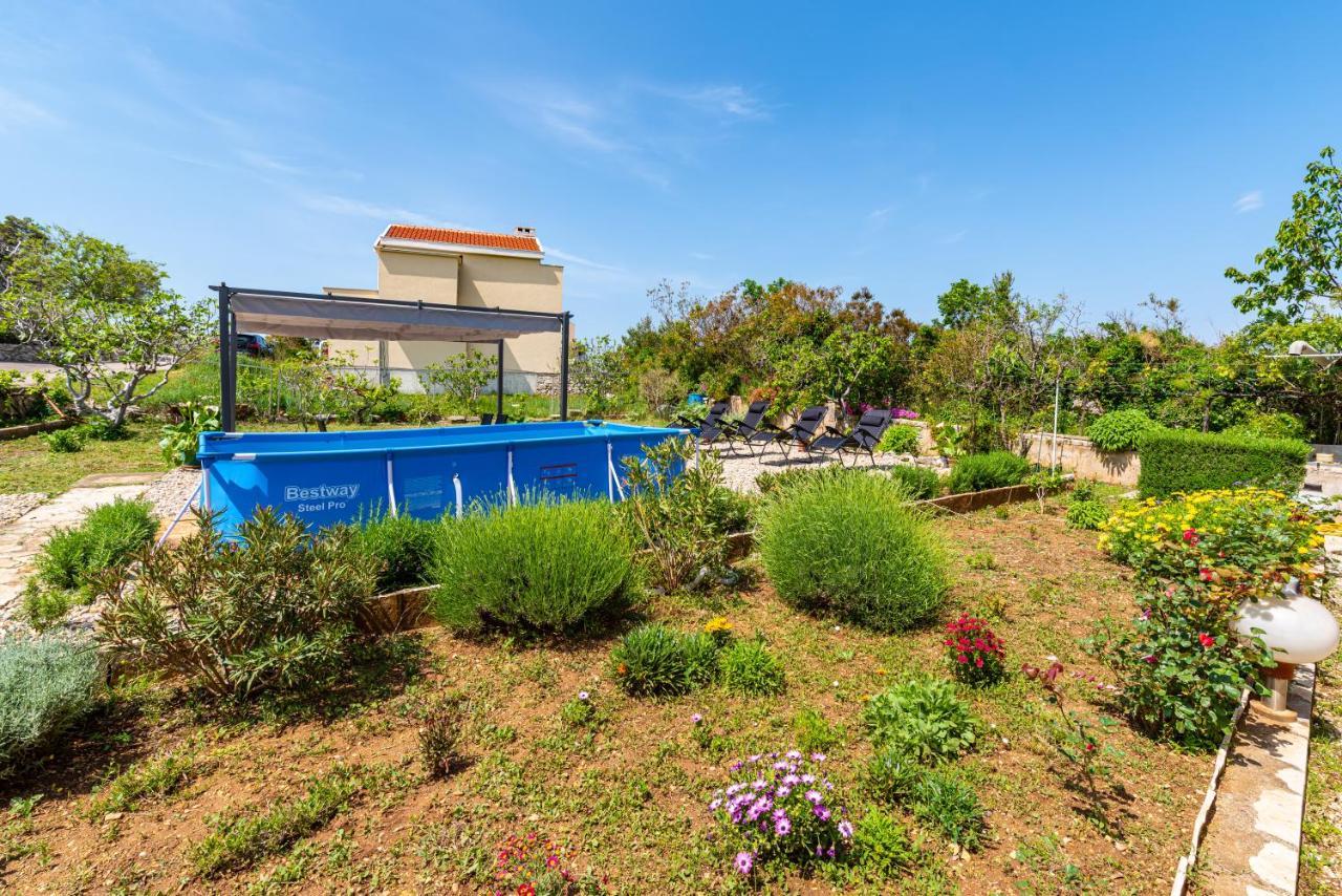 Apartment Sea And Mountain With Pool 노비그래드달마샤 외부 사진